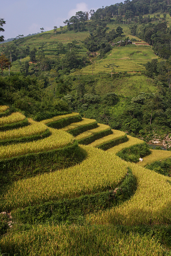 Ha Chiang   Lung Cu   008